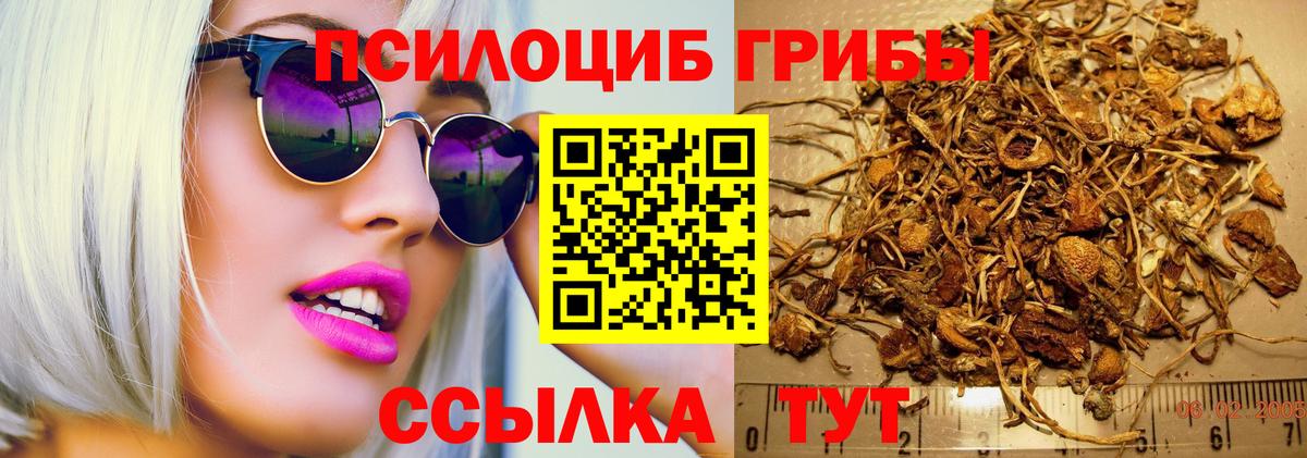 Галлюциногенные грибы мицелий Чайковский