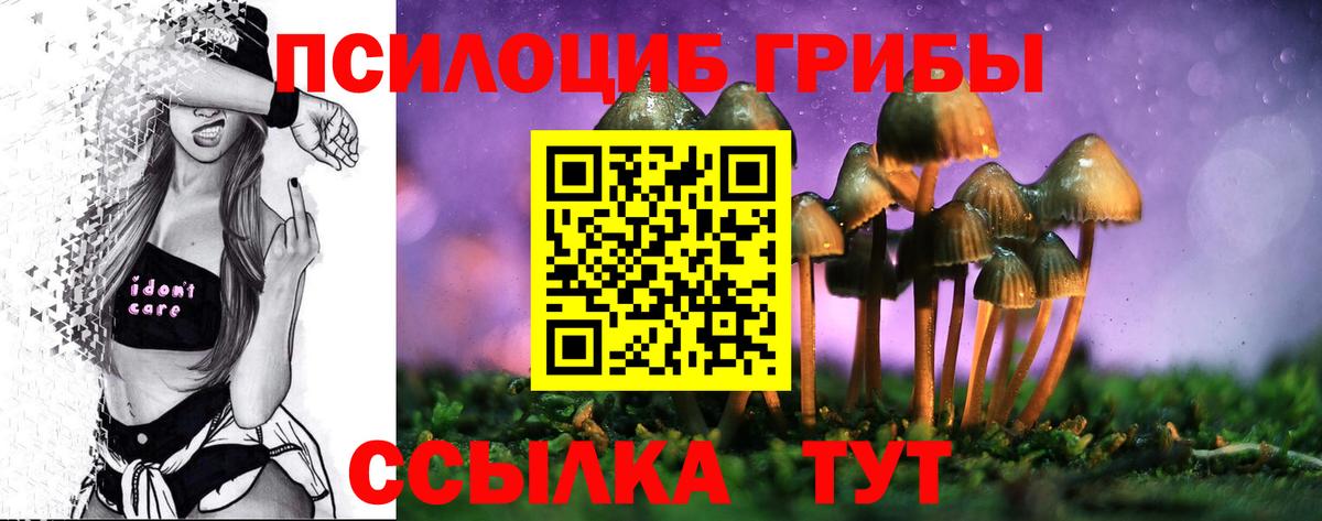 Чайковский  Псилоцибиновые грибы мухоморы  Вход с VPN  Псилоцибиновые грибы Cubensis 